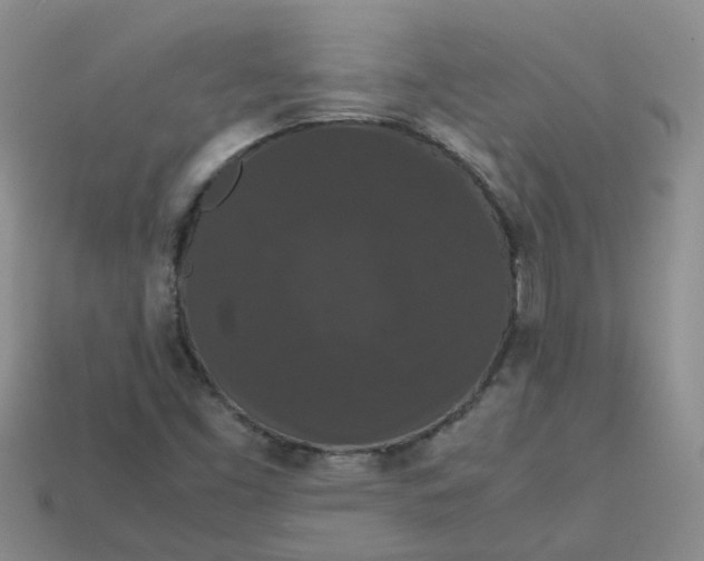 X0000113761453200910141038