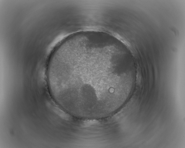 X0000113761454200910141038