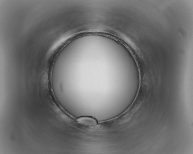 X0000113761456200910141038