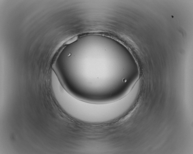 X0000113761457200910141038