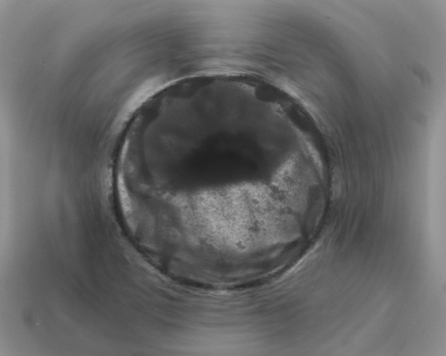 X0000113761459200910141038