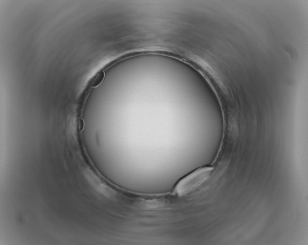 X0000113761460200910141037