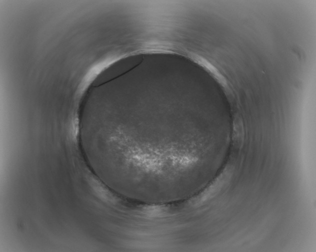 X0000113761461200910141037
