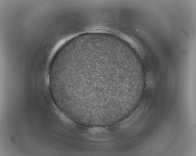X0000113761462200910141037