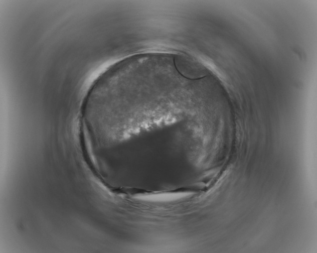 X0000113761463200910141037