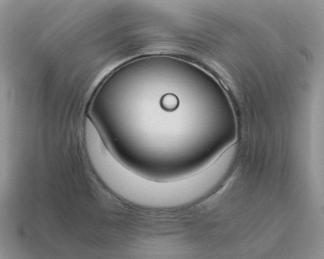 X0000113761465200910141037