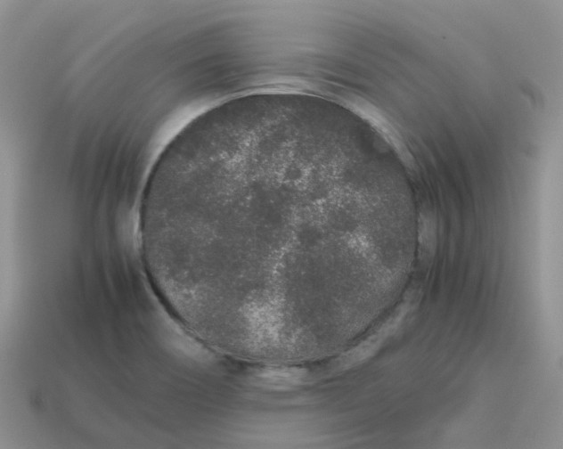 X0000113761466200910141037