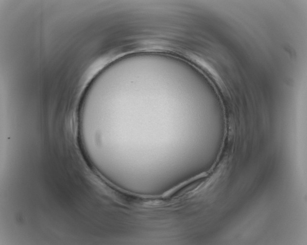 X0000113761467200910141037