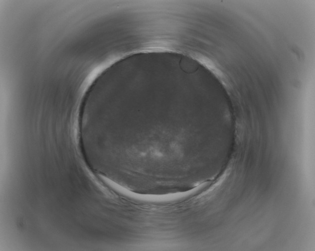 X0000113761469200910141037