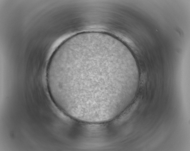 X0000113761470200910141037