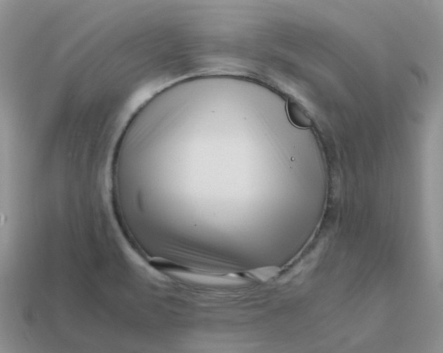 X0000113761471200910141037