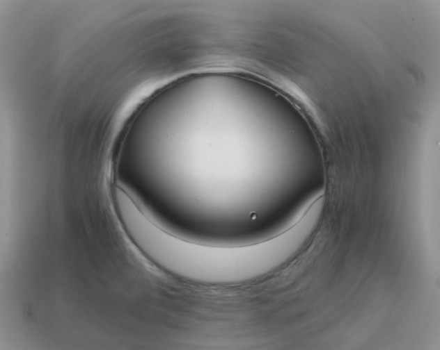 X0000113761472200910141037