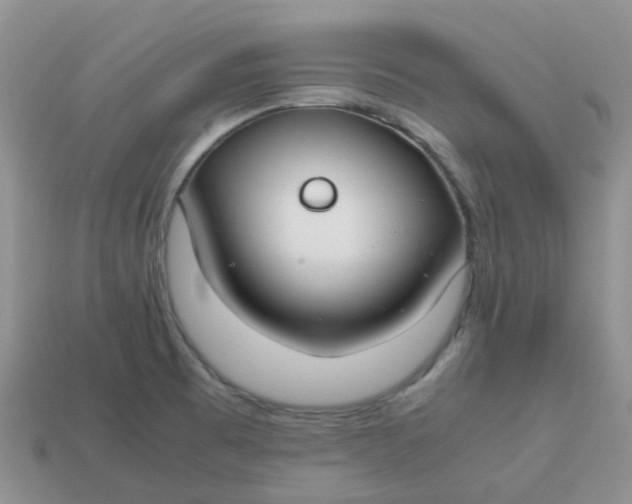 X0000113761473200910141037