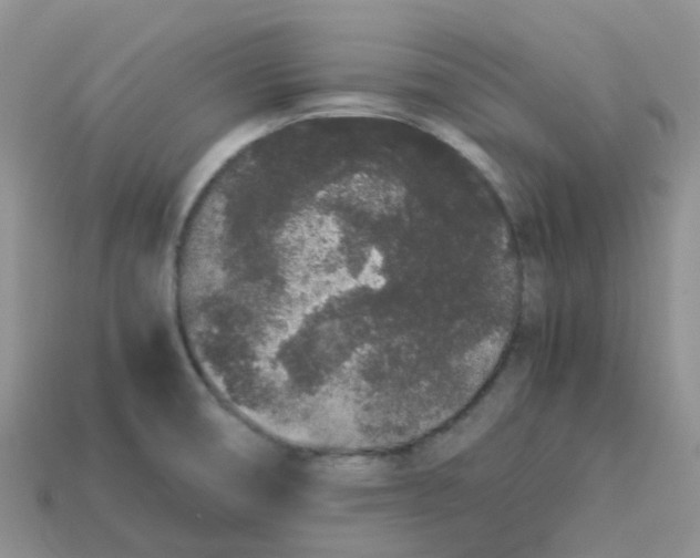 X0000113761474200910141037