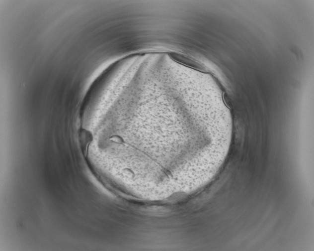 X0000113761476200910141037