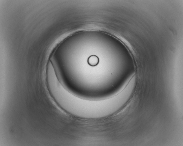 X0000113761477200910141037