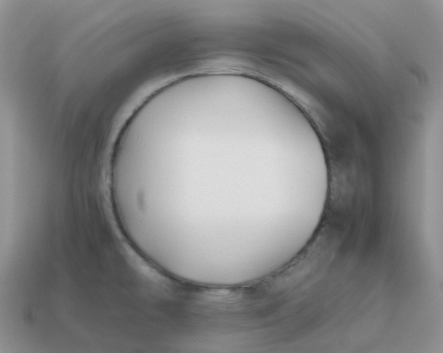 X0000113761478200910141037
