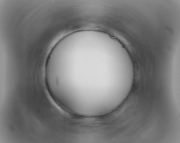 X0000113761479200910141037