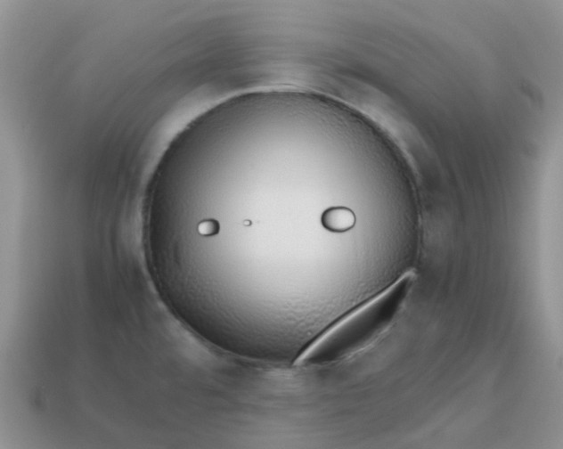 X0000113761480200910141037