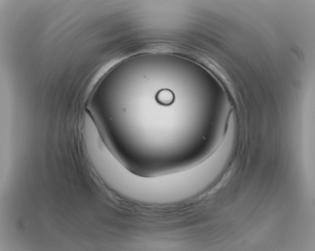 X0000113761481200910141037