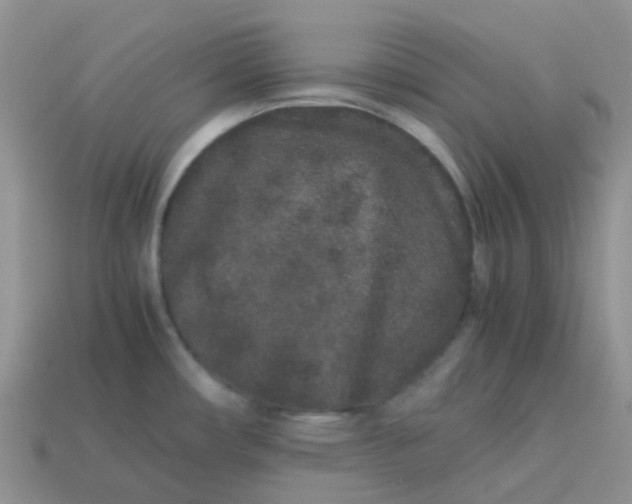 X0000113761482200910141037
