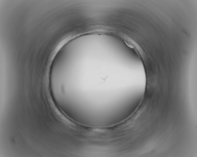 X0000113761483200910141037
