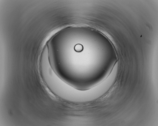 X0000113761485200910141037