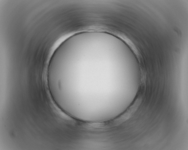 X0000113761486200910141037