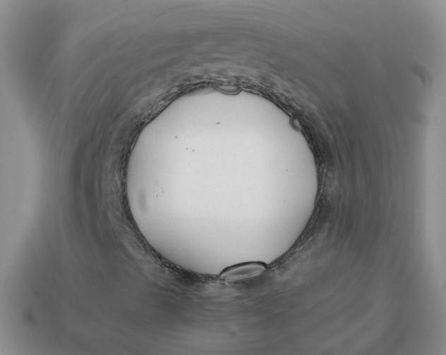 X0000113761489200910141036