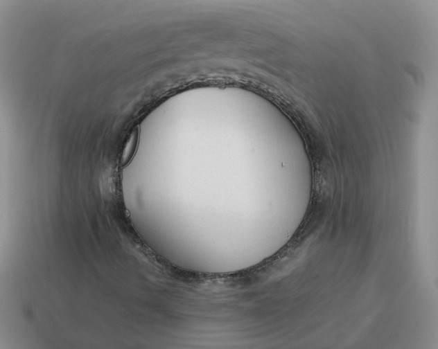 X0000113761490200910141036