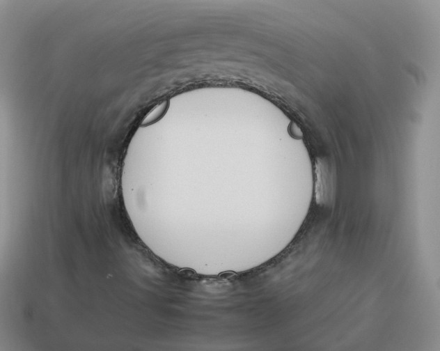 X0000113761491200910141036