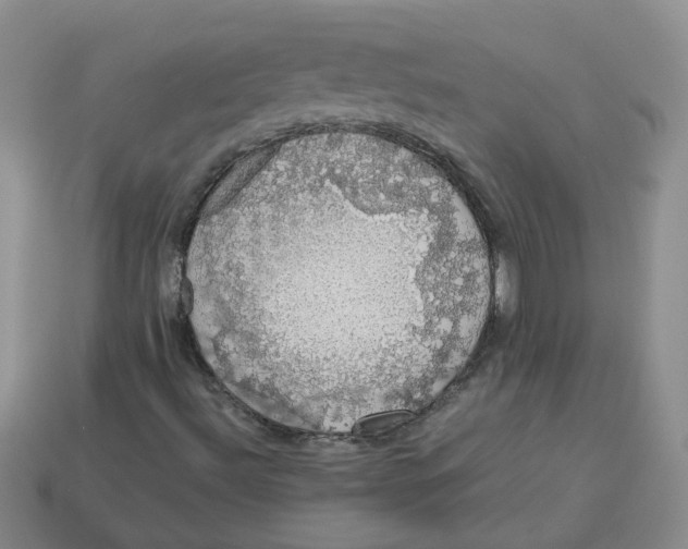 X0000113761492200910141036