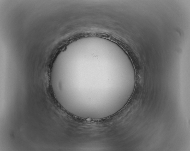 X0000113761493200910141036