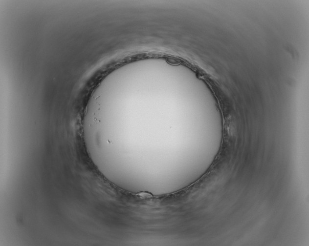 X0000113761495200910141036