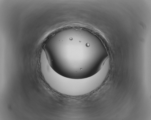 X0000113761496200910141036