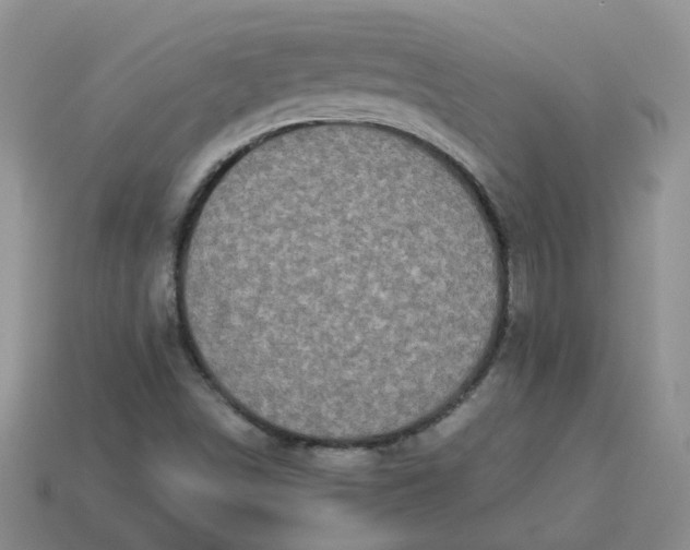 X0000113761498200910141036