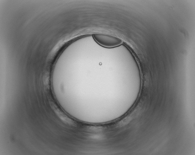 X0000113761499200910141037