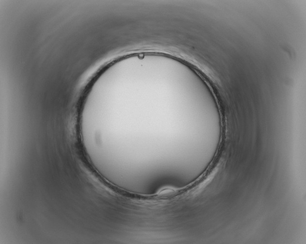 X0000113761502200910141037