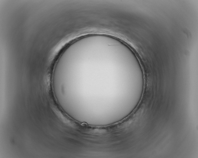X0000113761503200910141037
