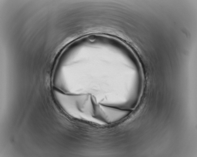 X0000113761505200910141037