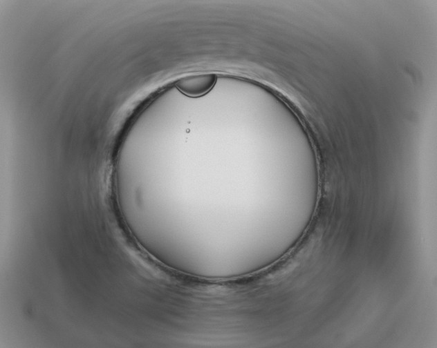 X0000113761507200910141037