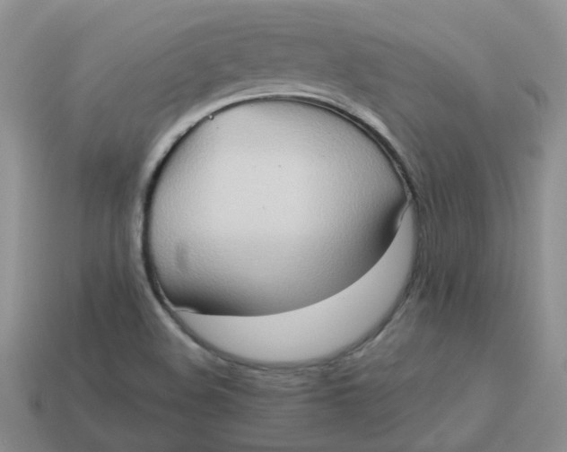 X0000113761508200910141037