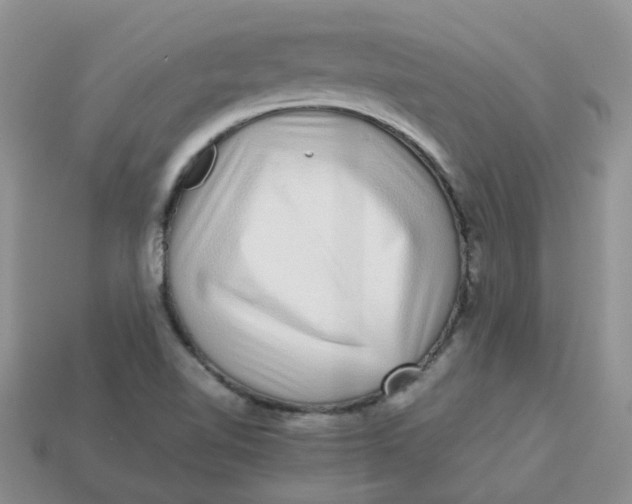 X0000113761510200910141037