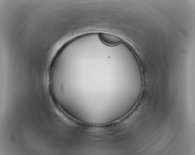 X0000113761511200910141037