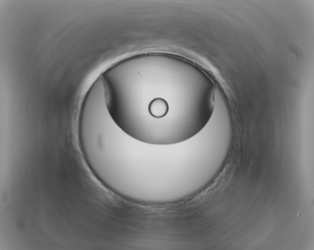 X0000113761512200910141037