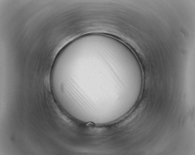 X0000113761513200910141037