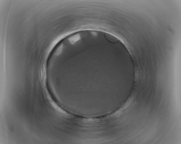 X0000113761515200910141037