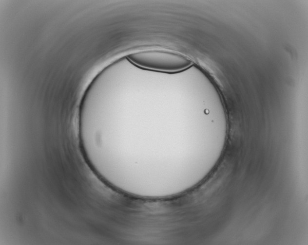 X0000113761516200910141037