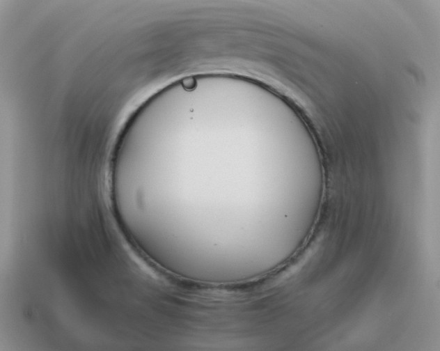 X0000113761517200910141037