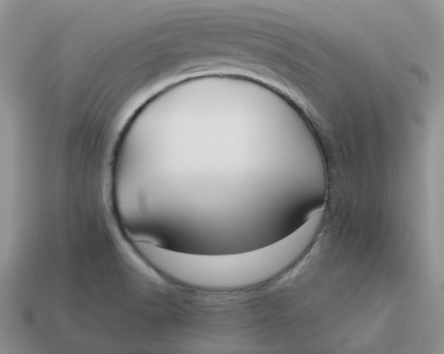 X0000113761518200910141037